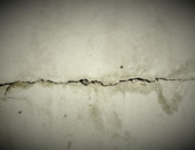Pathologie du béton